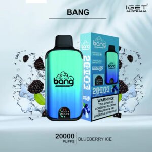 BANG – BLUEBERRY ICE – 20000 PUFFS