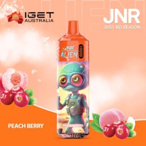 JNR ALIEN PEACH BERRY – 10000 PUFFS