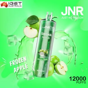 JNR SHISHA HOOKAH – FROZEN APPLE – 12000 PUFFS
