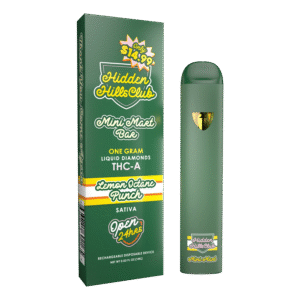 Hidden Hills Mini Mart THCA Disposable | 1g