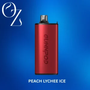 Peach Lychee Ice – GUNNPOD EVO